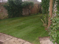 md landscapes turfing_after